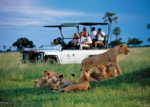 Pilanesberg Safari Tour