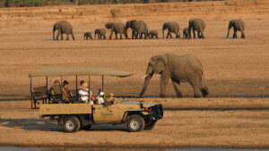 Safari Parks in South Africa