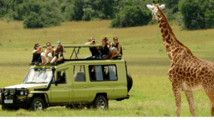 Pilanesberg tour