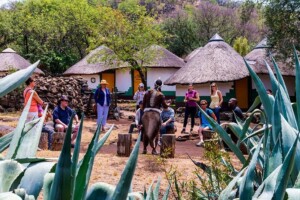Lesedi Cultural Village Tour
