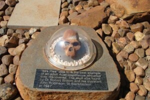Best Time to Visit Sterkfontein Caves