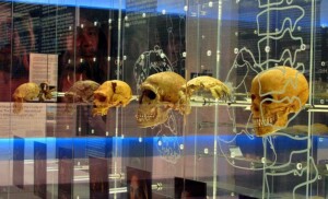 Visit Sterkfontein Caves
