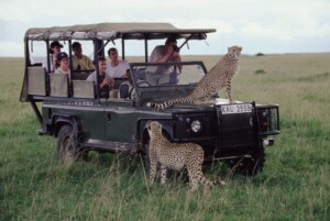 Pilanesberg Safari Tours