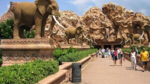 Cradle of Humankind day tour from Johannesburg